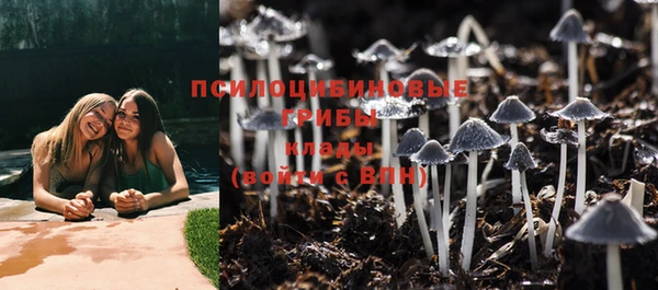 а пвп мука Медвежьегорск