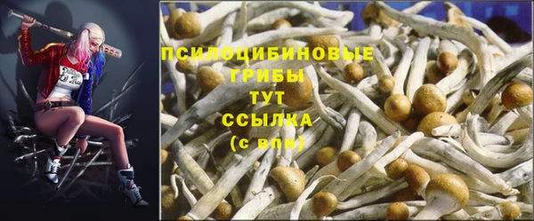 марки lsd Михайлов