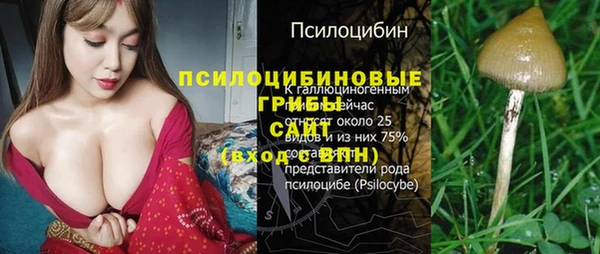 mdma Медногорск